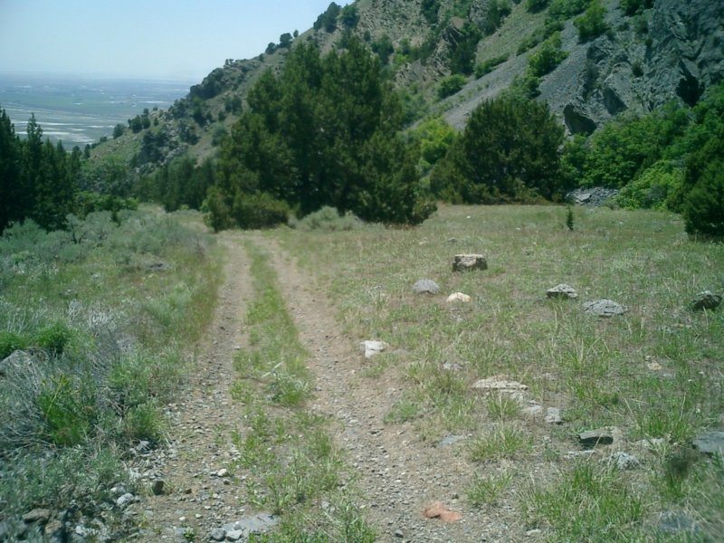 https://6066gmcguy.org/wp-content/uploads/2026/06/cfcjune0803-2.jpg