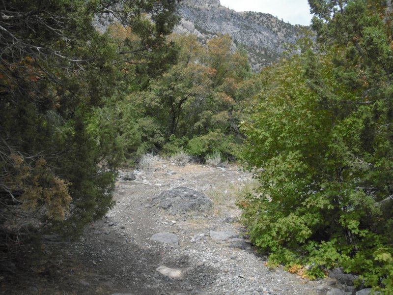 https://6066gmcguy.org/wp-content/uploads/2026/06/cfcsept0804-2.jpg