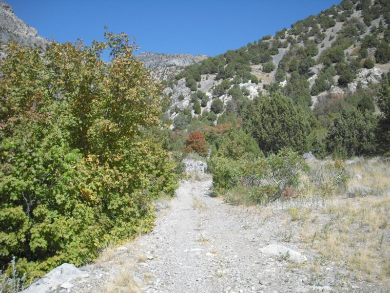 https://6066gmcguy.org/wp-content/uploads/2026/06/photo4-3.jpg