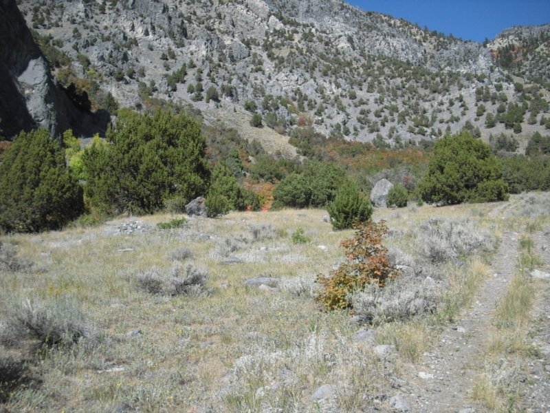 https://6066gmcguy.org/wp-content/uploads/2026/06/photo6-3.jpg