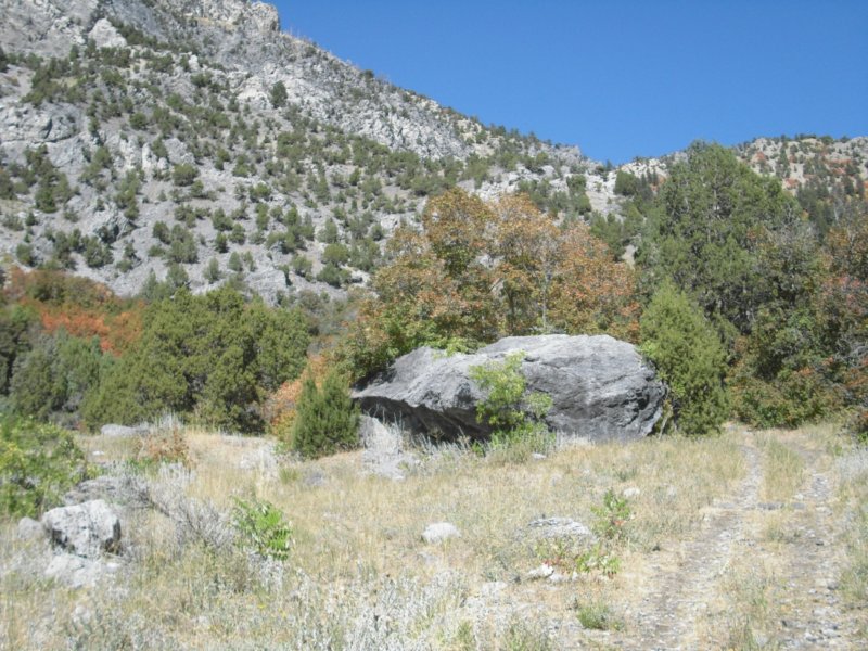 https://6066gmcguy.org/wp-content/uploads/2026/06/photo7-3.jpg