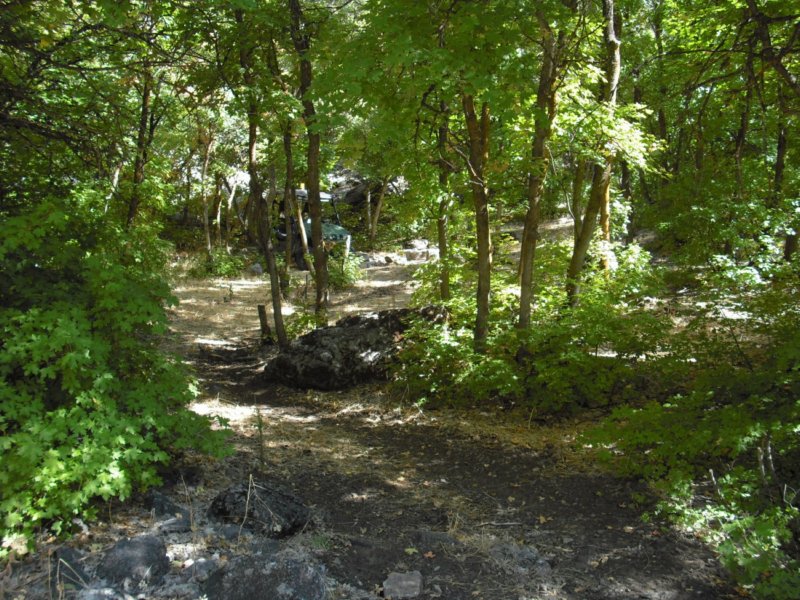 https://6066gmcguy.org/wp-content/uploads/2026/06/sacredgrove03-1.jpg