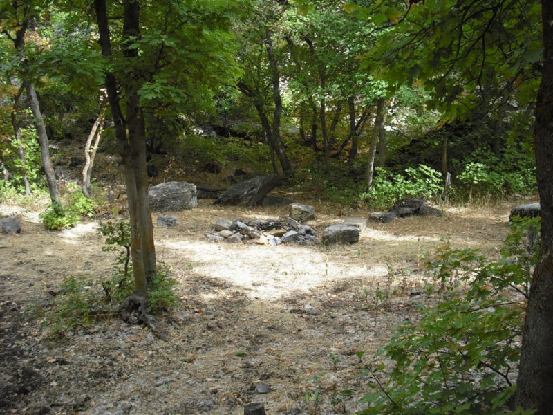https://6066gmcguy.org/wp-content/uploads/2026/06/sacredgrove10-1.jpg