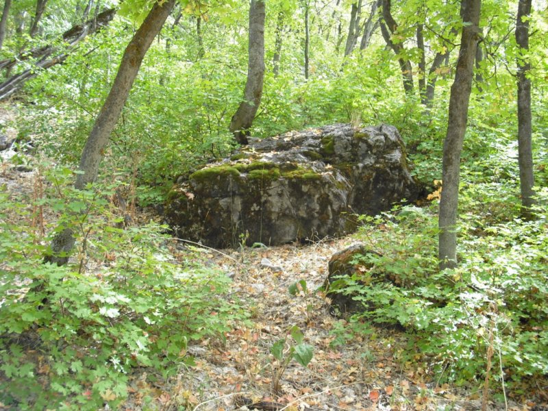 https://6066gmcguy.org/wp-content/uploads/2026/06/sacredgrove13-1.jpg