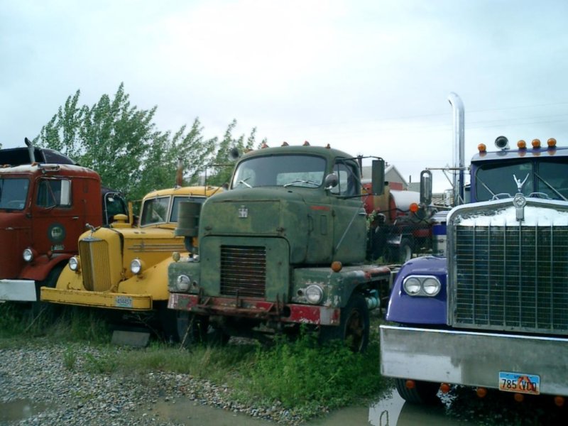 https://6066gmcguy.org/wp-content/uploads/2026/06/yardtrucks003-2.jpg
